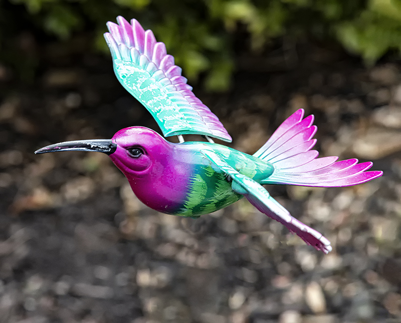 Pink / Purple