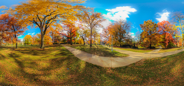 Michigan State University