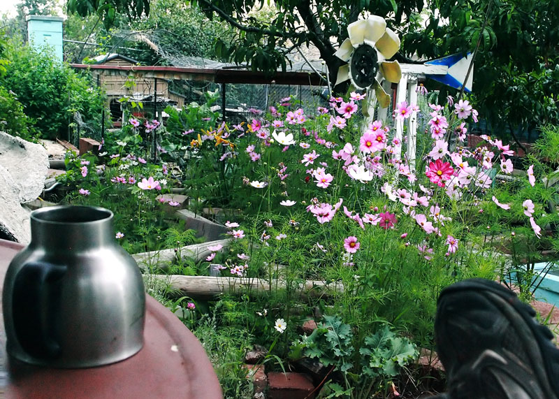 Yardwork -- Just another crappy day managing paradise.