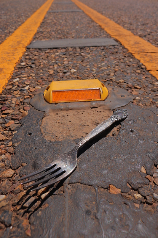 Fork in the Road