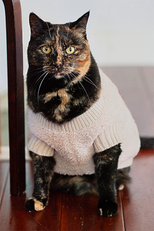 Sweater Ugly or Not