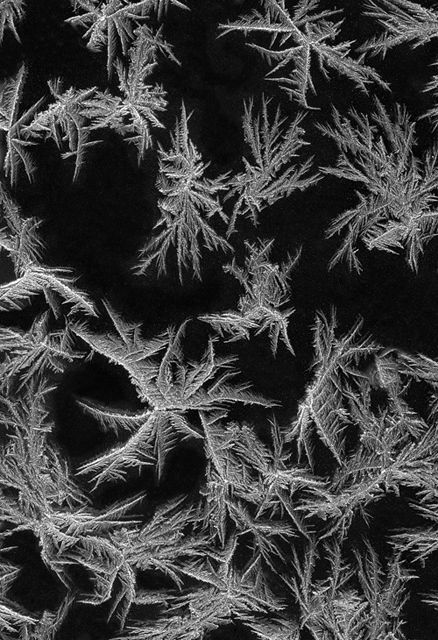 Morning Frost
