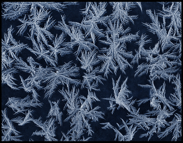 Frost