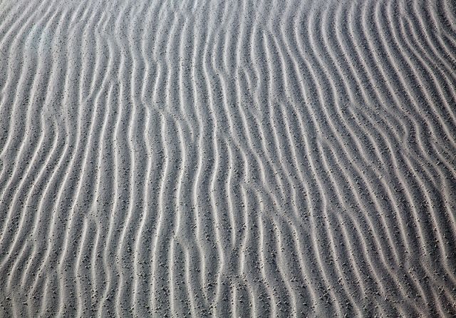 Rain on the Dunes