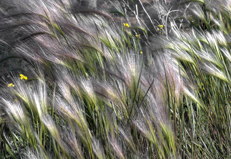 An Uneasy Breeze