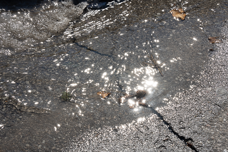 Parking Lot Spring Thaw Beauty