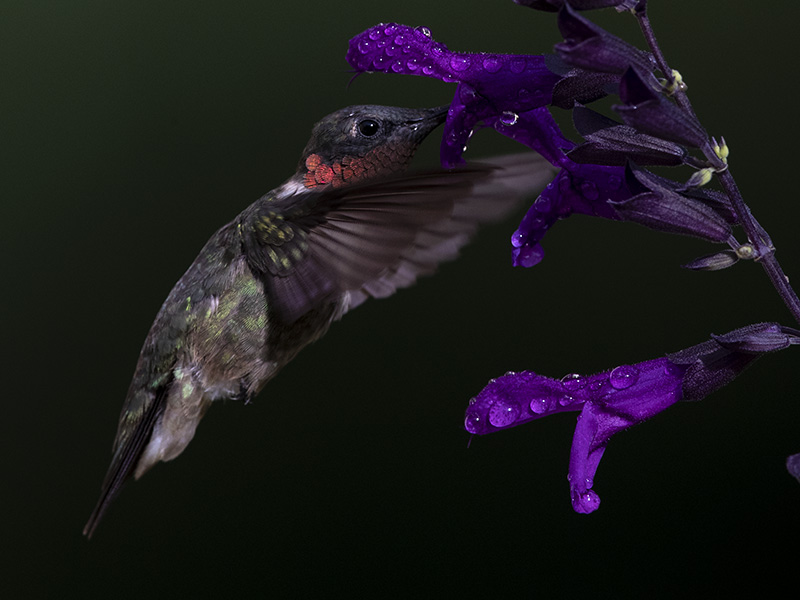 Droplets of Liquid