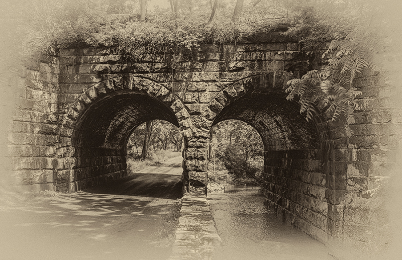 Road Less Traveled