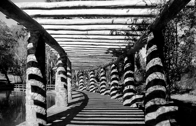 Path of shadows
