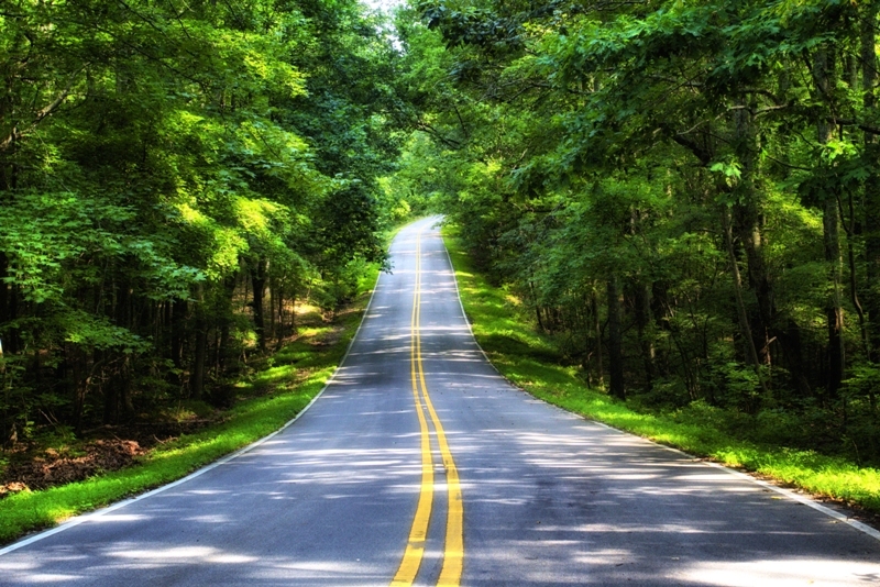 The street where I live