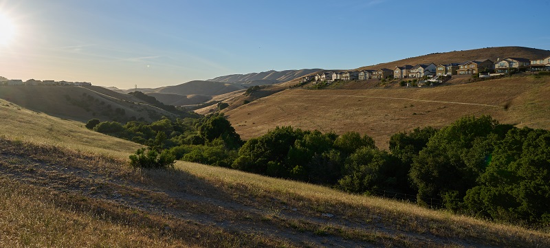 Rolling Hills Golden Hour