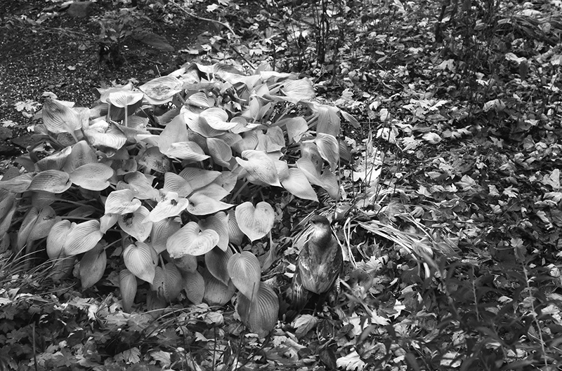 Unsuccessful Hiding