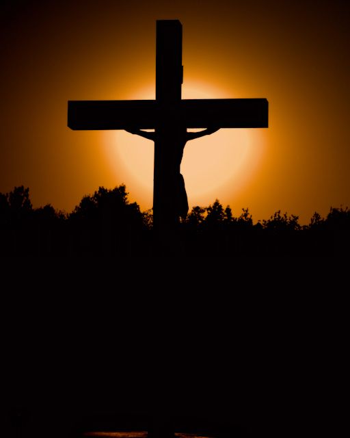 The Son . . .
