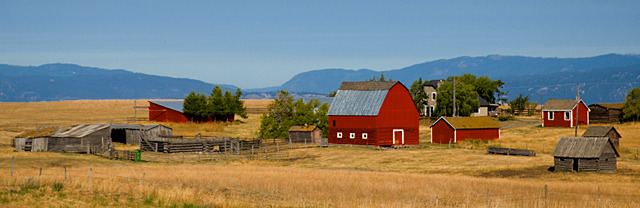 The Farm