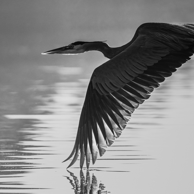 Skimming the Surface