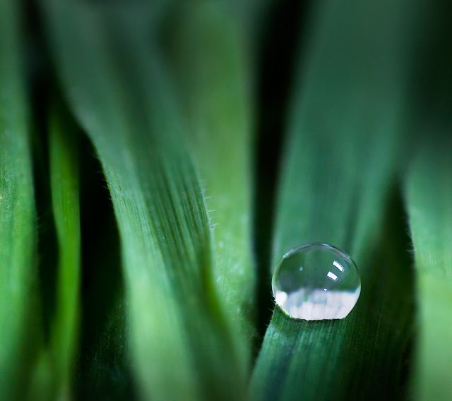 Nature's Simplicity