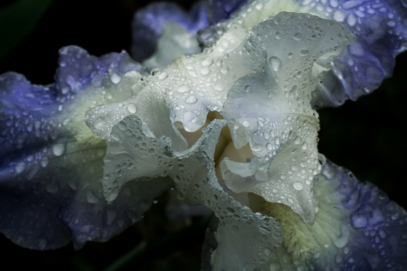 After the Rain