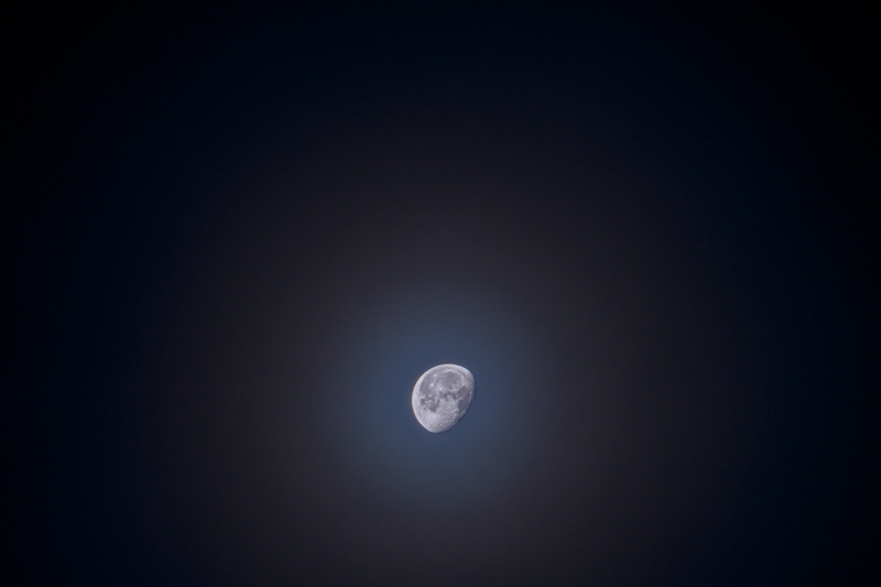 Moonglow