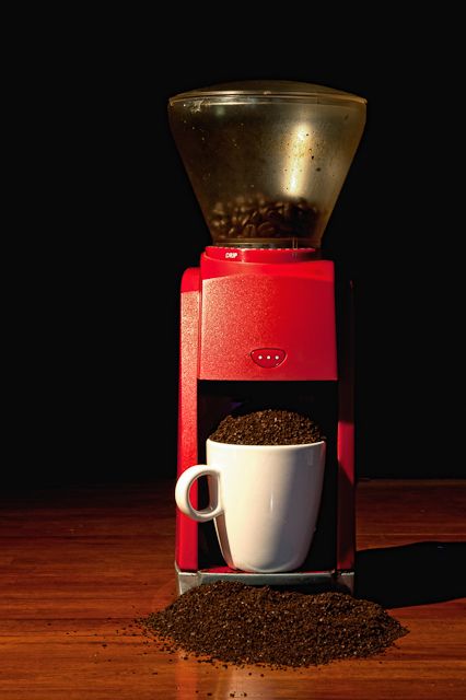 Bold Cup