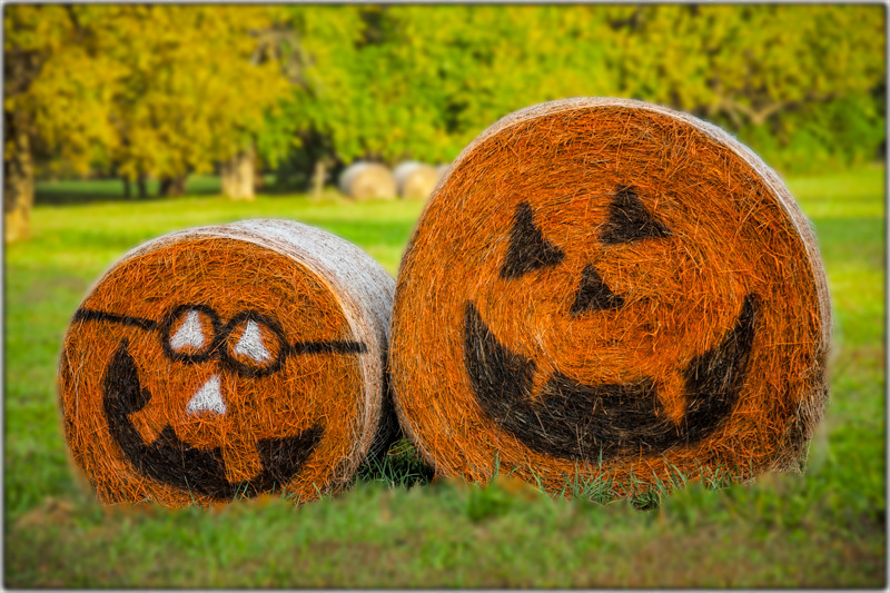 Happy Halloween