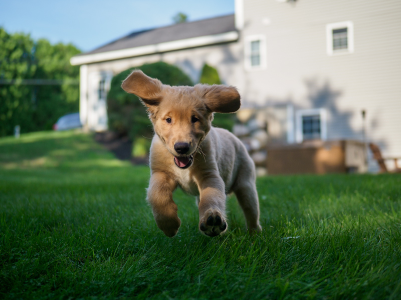 Sprint!