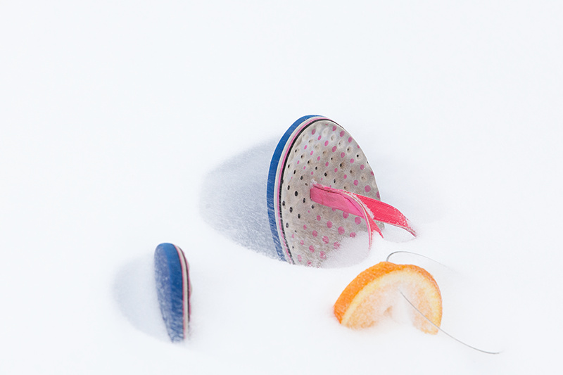 Flip Flops