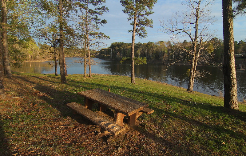 Picnic Spot