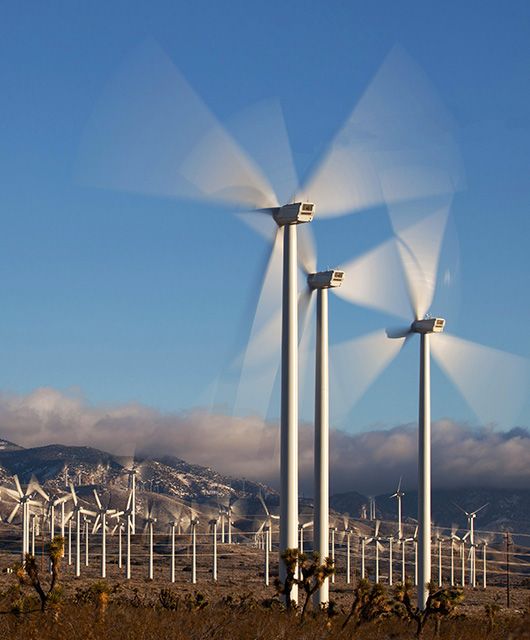 Wind Warriors