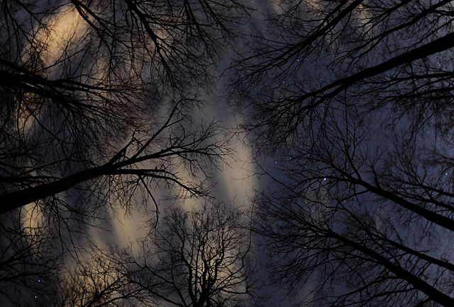 Night Sky and Cloud