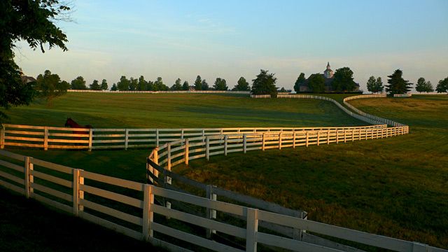 Fence-KY