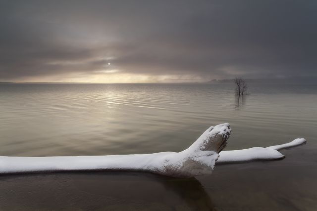 New Snow, New Day