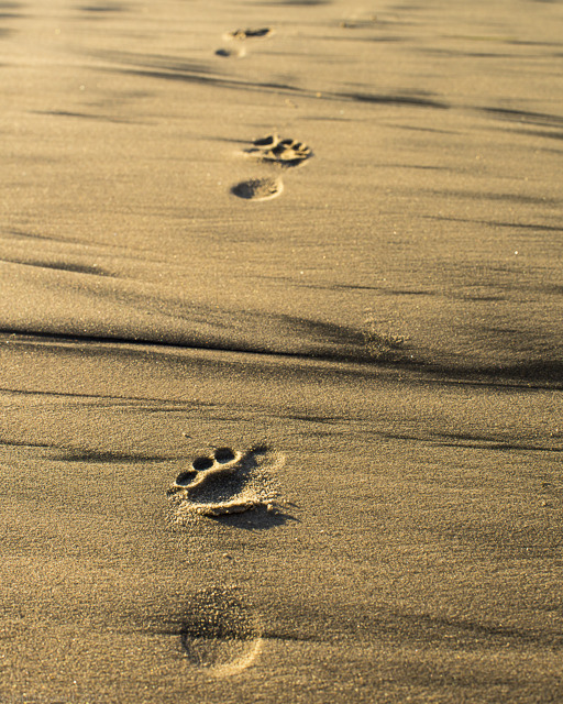 Footprints