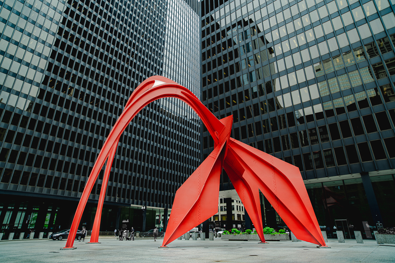 Red Flamingo