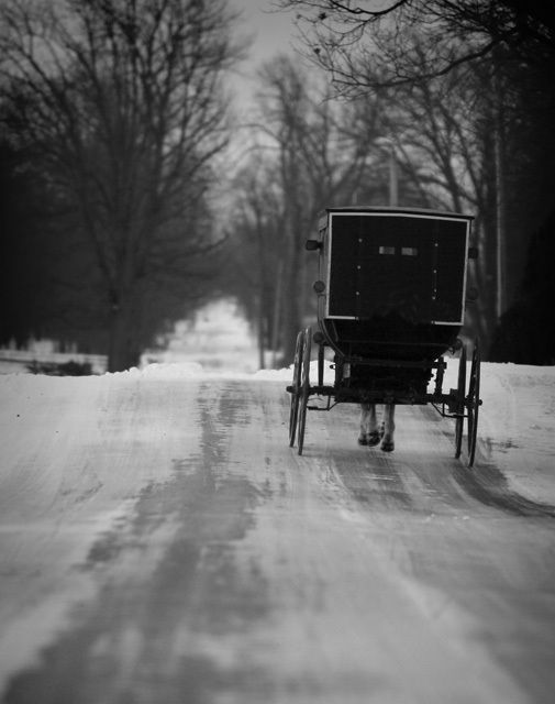 Cold and Lonely Road