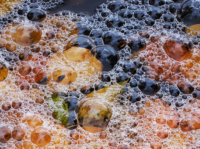 Autumn bubbles