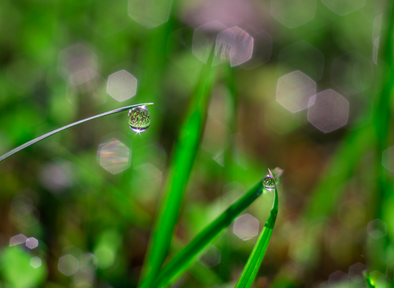 Morning rain