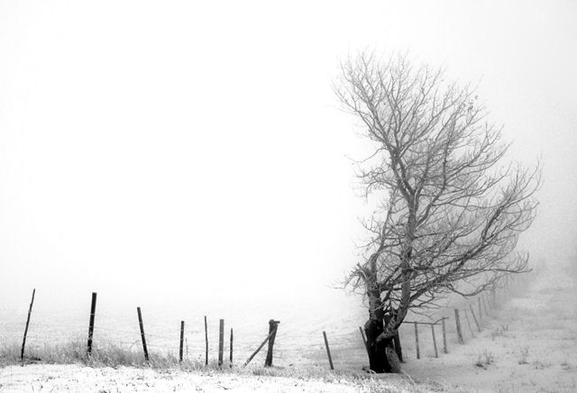 Black and white
