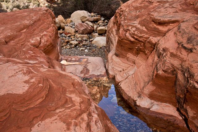 Rock Garden