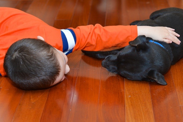 A boy and his dog
