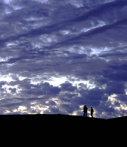 Night Shadows