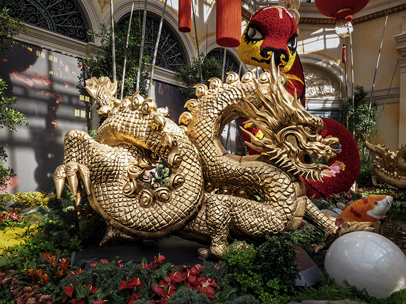 Shiny Gold Dragon!