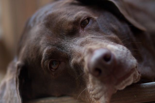 My Brown Eyed Girl