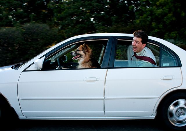 Joy Ride