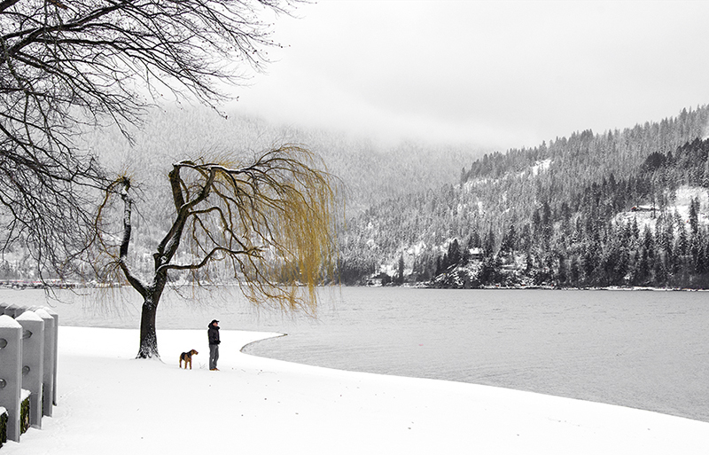 Lakeside park