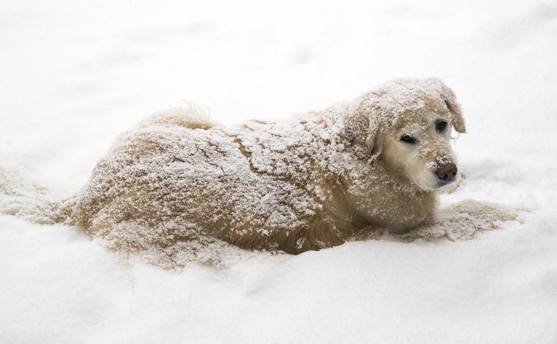 I like my snow!