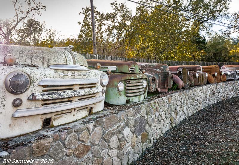 On a Country Road looking for a home