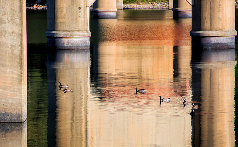 Under the bridge