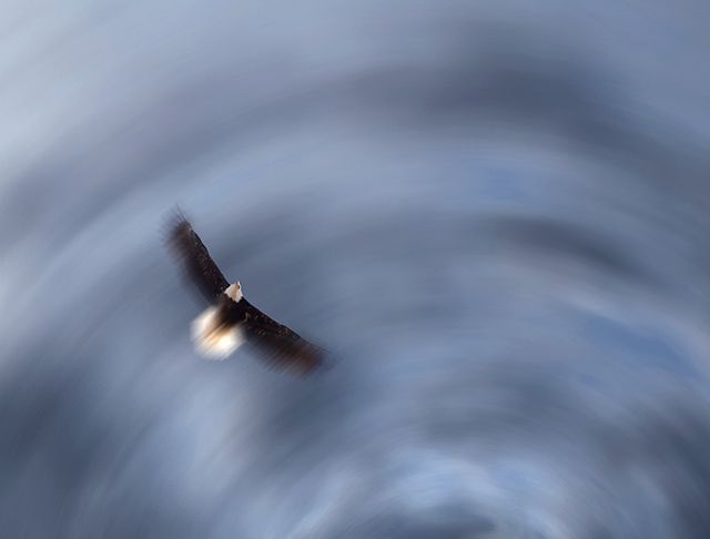 Motion of Flight