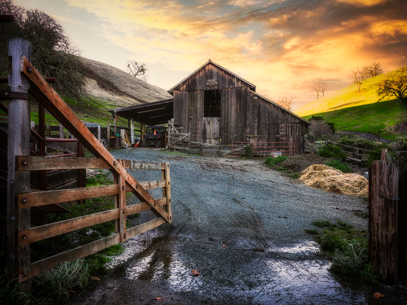 Barn's door and gate