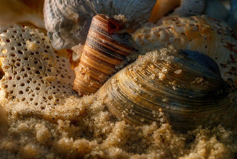 In The Sand